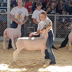 Edler Family Farms Winners